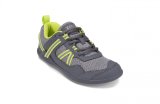 Grey Lime