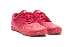 Dámské běžecké barefoot boty Xero Shoes HFS II - Raspberry Sunset Coral Gradient