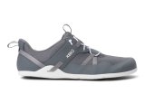 Steel Gray Prio Cost