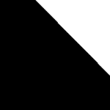 Černo-bílá
