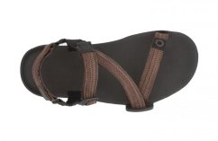 Pánské turistické barefoot sandály Xero Shoes Z-Trail EV - Multi-brown