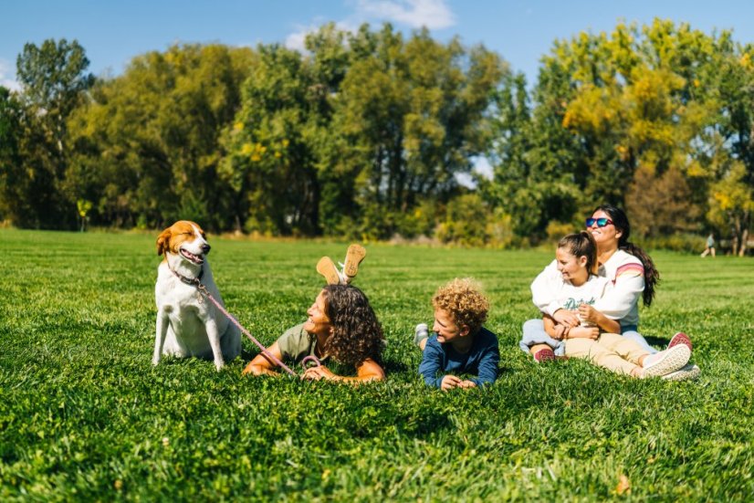 Xero Shoes Dillon Canvas – pánské barefoot tenisky