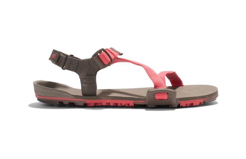 Xero Z-Trail EV dámské turistické barefoot sandály