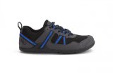 Asphalt Blue