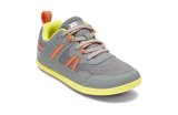 Gray (Prio kids)