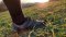Mesa Trail II - barefoot trailovka od Xeroshoes