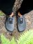 Unisex turistické barefoot boty Be Lenka TrailWalker 3.0 - Dark Grey - Barva: Dark Grey TrailWalker 3.0, Velikost: 46