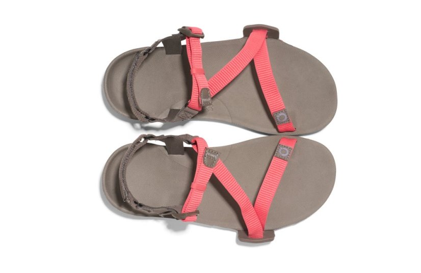Xero Z-Trail EV dámské turistické barefoot sandály