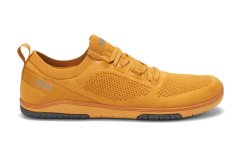 VÝPRODEJ XERO Nexus Knit MEN - pánské sportovní barefoot tenisky pro volný čas